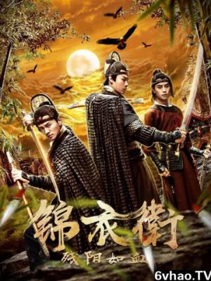 梦想启航